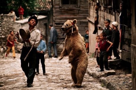 ayi-oynatma Yeşilçam'ın Dansçı Ayıları