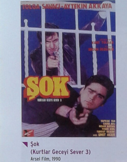 Kurtlar Geceyi Sever